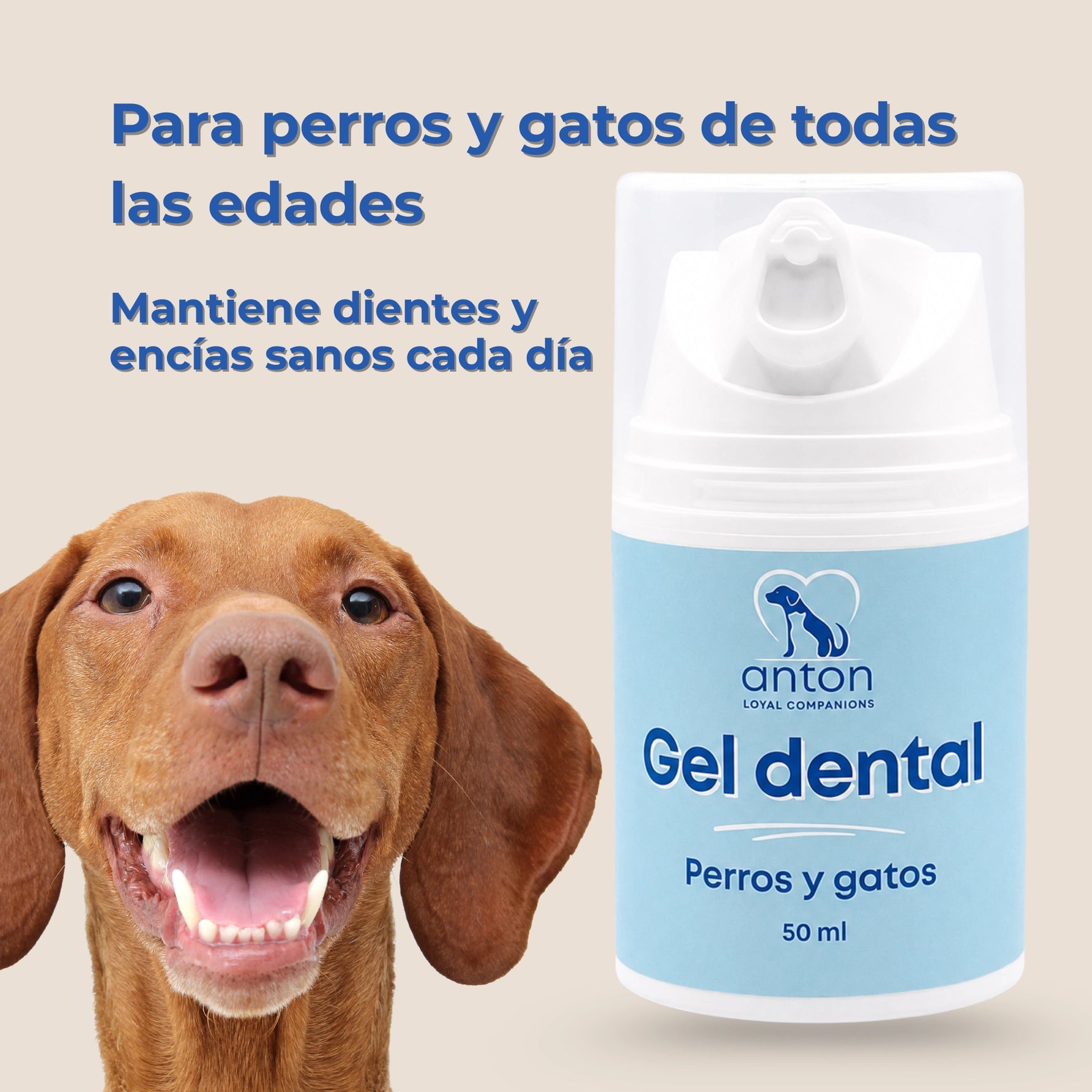 Gel dental natural ANTON para perros y gatos de todas las edades. Ayuda a mantener dientes y encías sanos con un cuidado bucal diario suave.