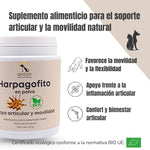 Beneficios del Harpagofito ECO para perros y gatos ANTON Loyal Companions. Suplemento natural para la movilidad, la flexibilidad, el confort articular y la inflamación articular.