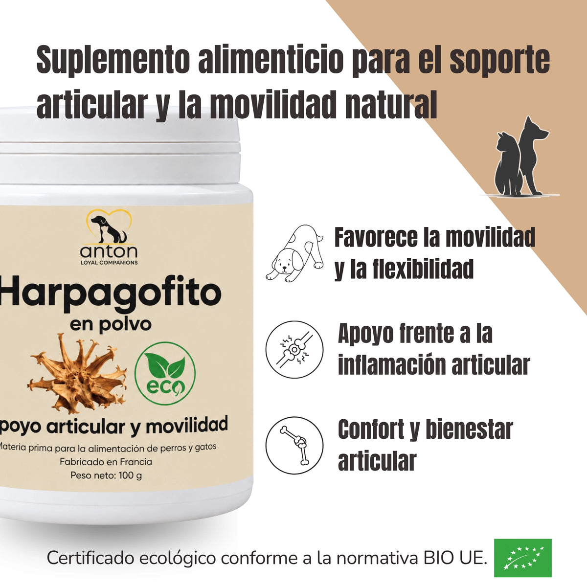 Infografía del Harpagofito ECO ANTON para perros y gatos, con certificación ecológica europea. Presenta sus beneficios para la movilidad, la flexibilidad y el confort articular.