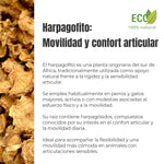 Información sobre el Harpagofito ECO para perros y gatos ANTON Loyal Companions. Planta originaria del sur de África utilizada tradicionalmente para el confort articular, la movilidad y la rigidez articular.
