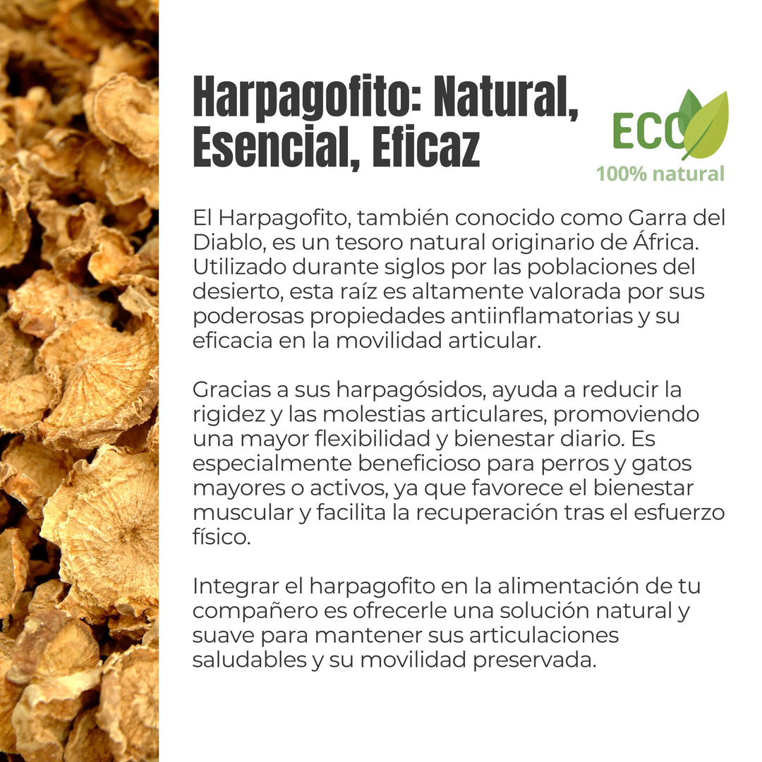 Suplemento natural para perros y gatos – Harpagofito ecológico - 100g