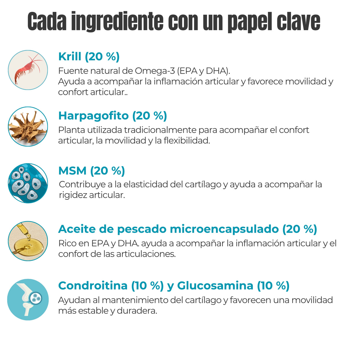 Ingredientes activos del suplemento natural Condroprotector ANTON LC para perros y gatos con Omega-3, harpagofito, MSM, glucosamina y condroitina