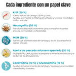 Ingredientes activos del suplemento natural Condroprotector ANTON LC para perros y gatos con Omega-3, harpagofito, MSM, glucosamina y condroitina