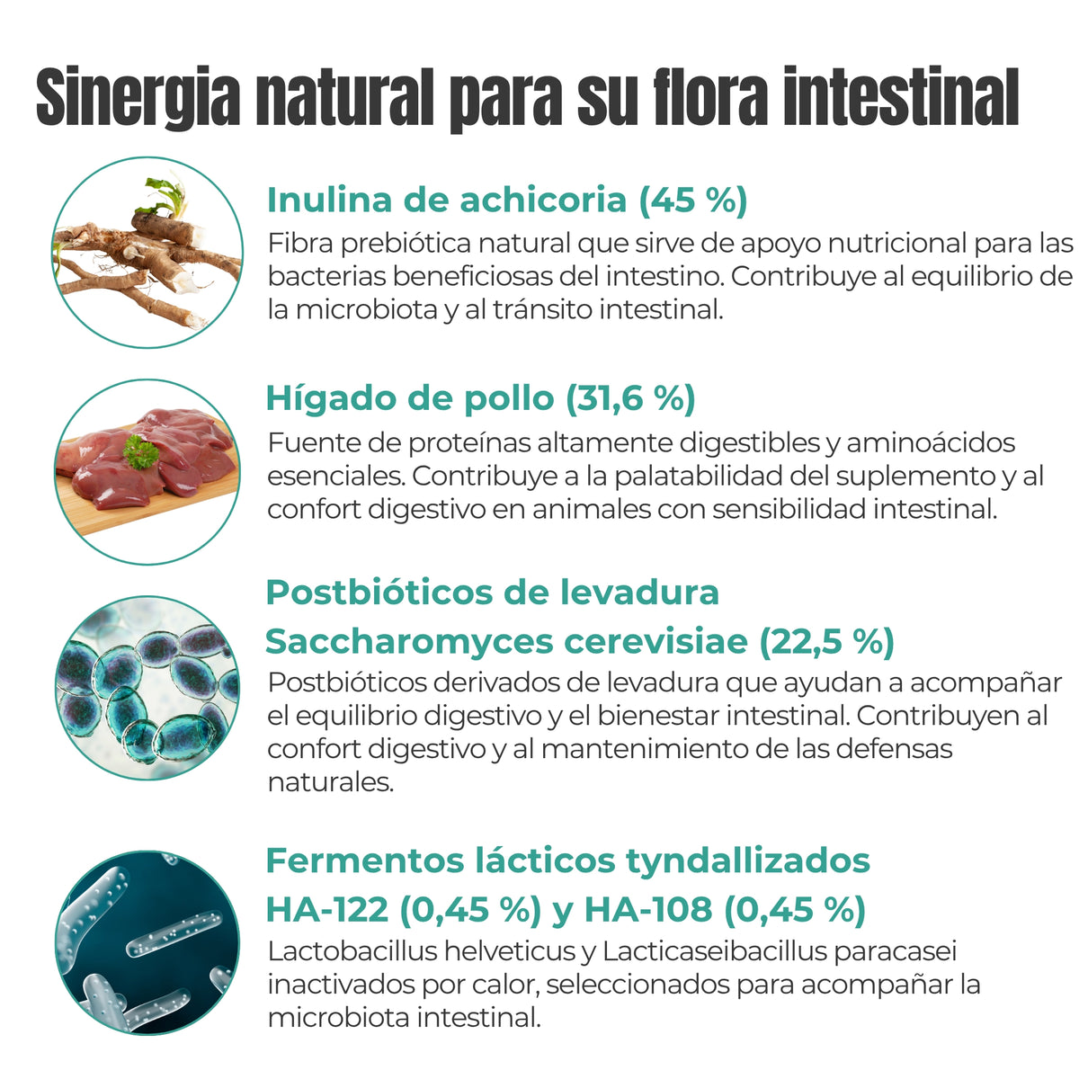 Ingredientes naturales para apoyar la microbiota y la digestión de perros y gatos con prebióticos, postbióticos y fermentos lácticos ANTON Loyal Companions