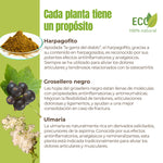 Ingredientes naturales ecológicos de la fórmula Movilidad y Flexibilidad: harpagofito, grosellero negro y ulmaria. Plantas con propiedades antiinflamatorias y analgésicas que ayudan a aliviar el dolor articular y mejorar la movilidad de forma natural.