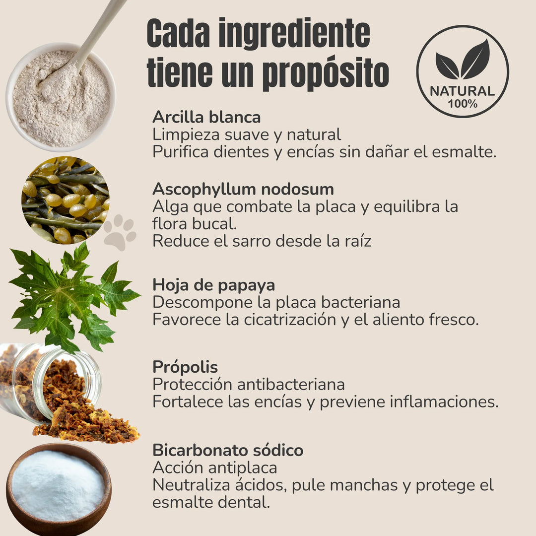 Lista de ingredientes naturales del polvo dental ANTON: arcilla blanca, Ascophyllum nodosum, papaya, própolis y bicarbonato sódico
