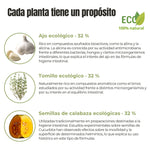 Ajo, tomillo y semillas de calabaza ecológicos, ingredientes de Protección Intestinal ANTON.