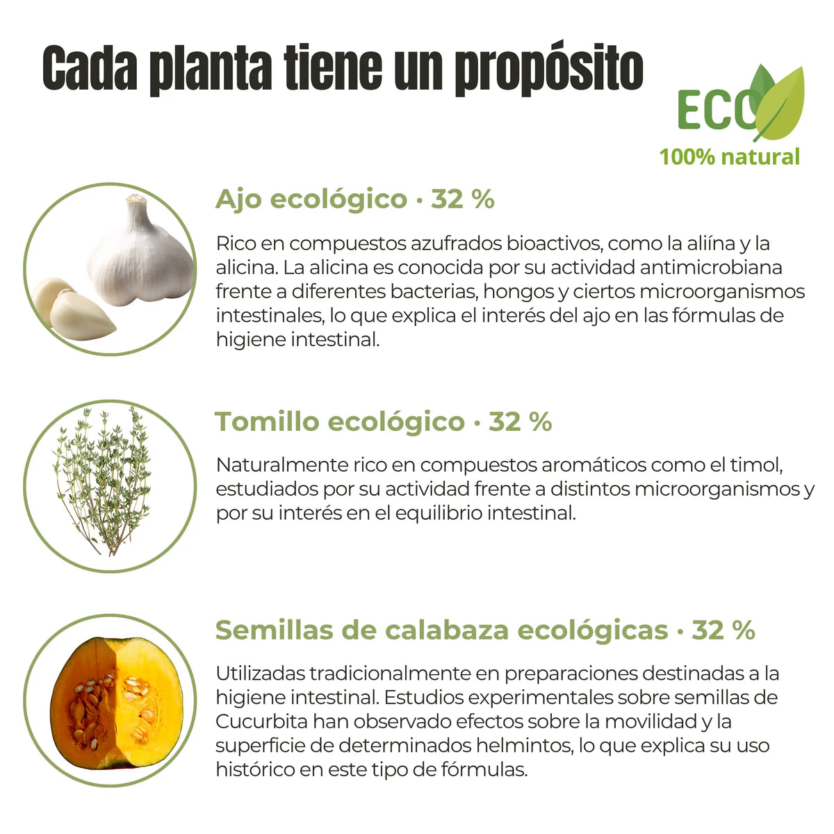 Ajo, tomillo y semillas de calabaza ecológicos, ingredientes de Protección Intestinal ANTON.