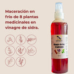 Maceración en frío de 8 plantas medicinales en vinagre de sidra para el producto ANTON