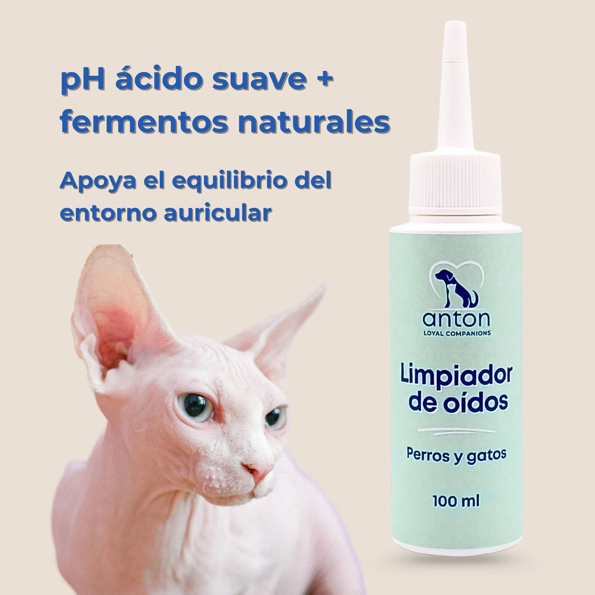 Gato sphynx junto al limpiador de oídos ANTON con texto sobre pH ácido suave y fermentos naturales.