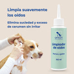Persona limpiando suavemente los oídos de un perro con el limpiador de oídos ANTON Loyal Companions para perros y gatos