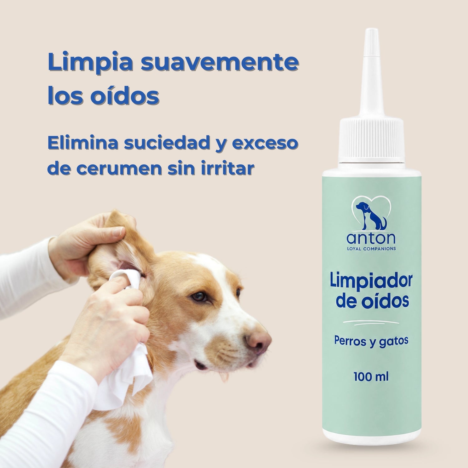 Persona limpiando suavemente los oídos de un perro con el limpiador de oídos ANTON Loyal Companions para perros y gatos