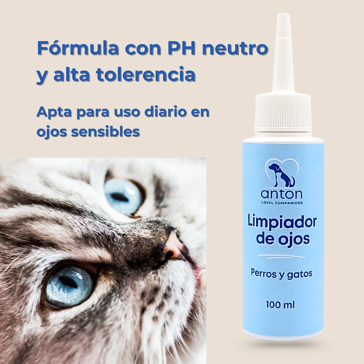 Gato con ojos azules junto al limpiador de ojos ANTON y texto sobre fórmula con pH neutro y alta tolerancia.