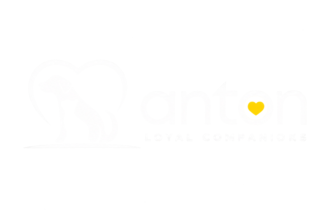 ANTON Loyal Companions