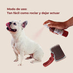 Aplicación sencilla del vinagre ANTON para perros: rociar y dejar actuar
