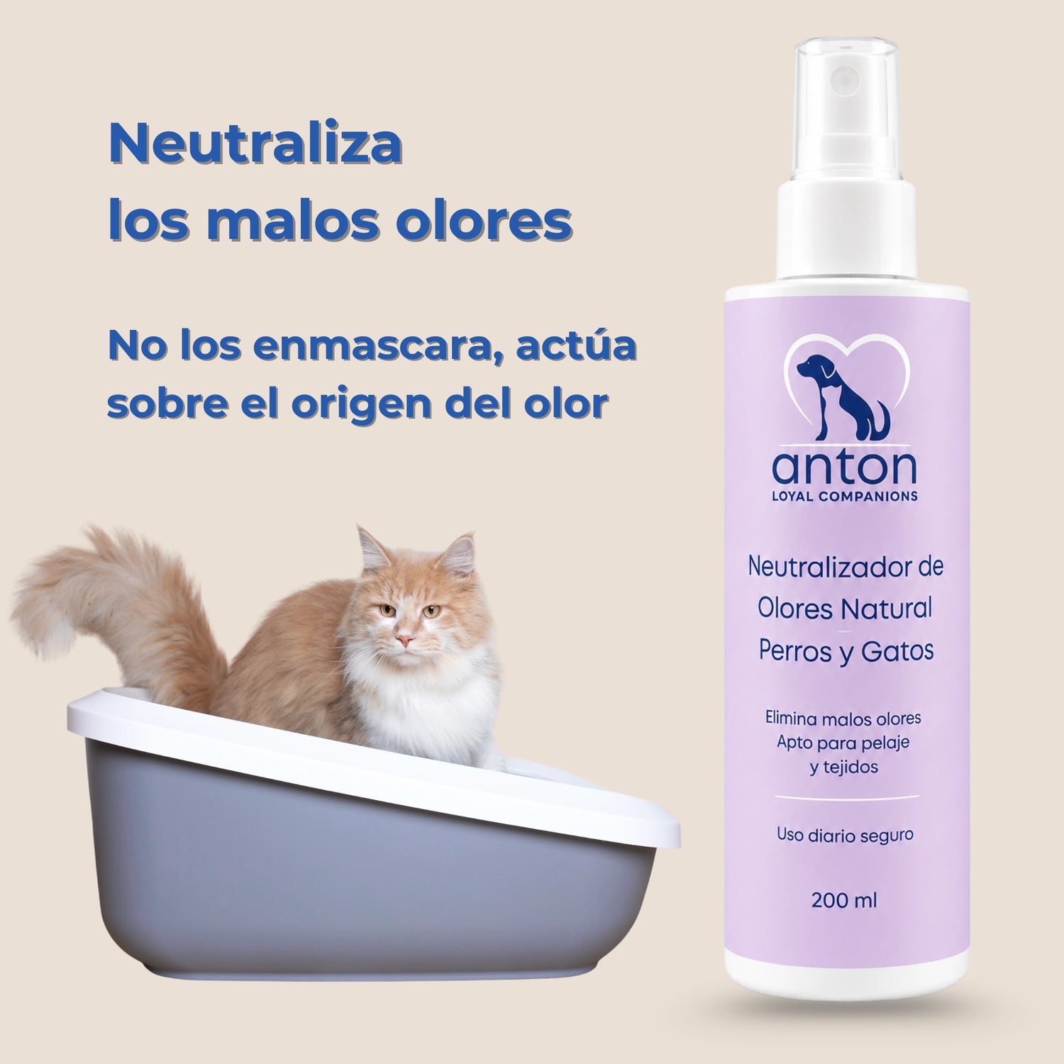 Neutralizador de olores natural ANTON para perros y gatos junto a un gato en su arenero. Elimina los malos olores actuando sobre su origen, apto para pelaje y tejidos.