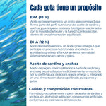 Información sobre EPA y DHA en aceite de sardina y anchoa para perros y gatos con explicación de su composición y beneficios nutricionales
