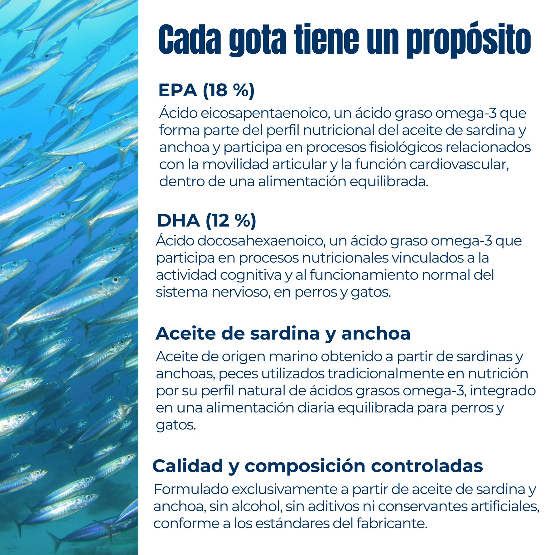 Información sobre EPA y DHA en aceite de sardina y anchoa para perros y gatos con explicación de su composición y beneficios nutricionales