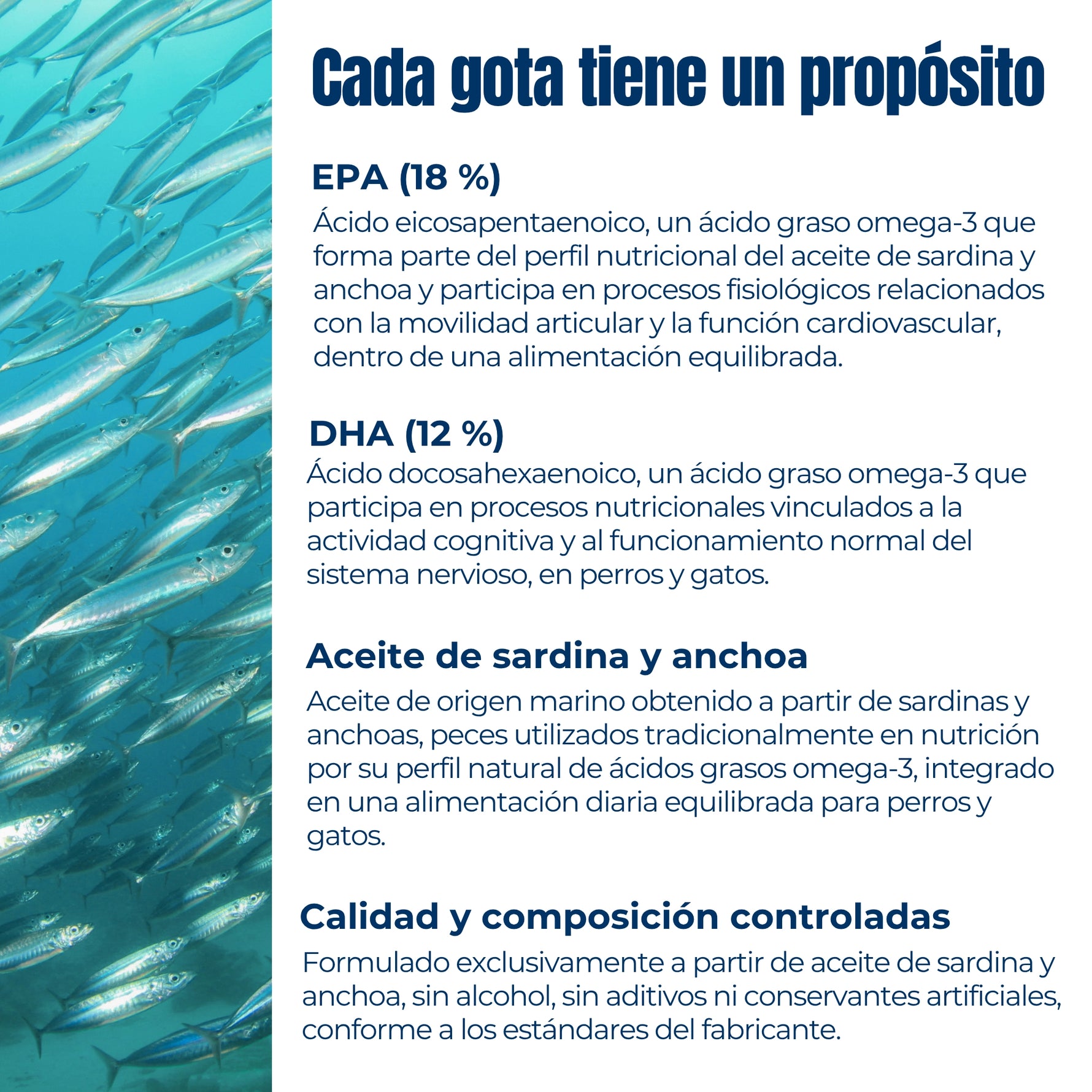 Aceite Omega 3 para perros y gatos con EPA y DHA procedente de sardina y anchoa salvaje – apoyo nutricional diario y composición natural controlada ANTON LC