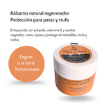 Lote Colmena Saludable – Defensa Natural y Cuidado de la Piel para Perros y Gatos_Anton Loyal Companions