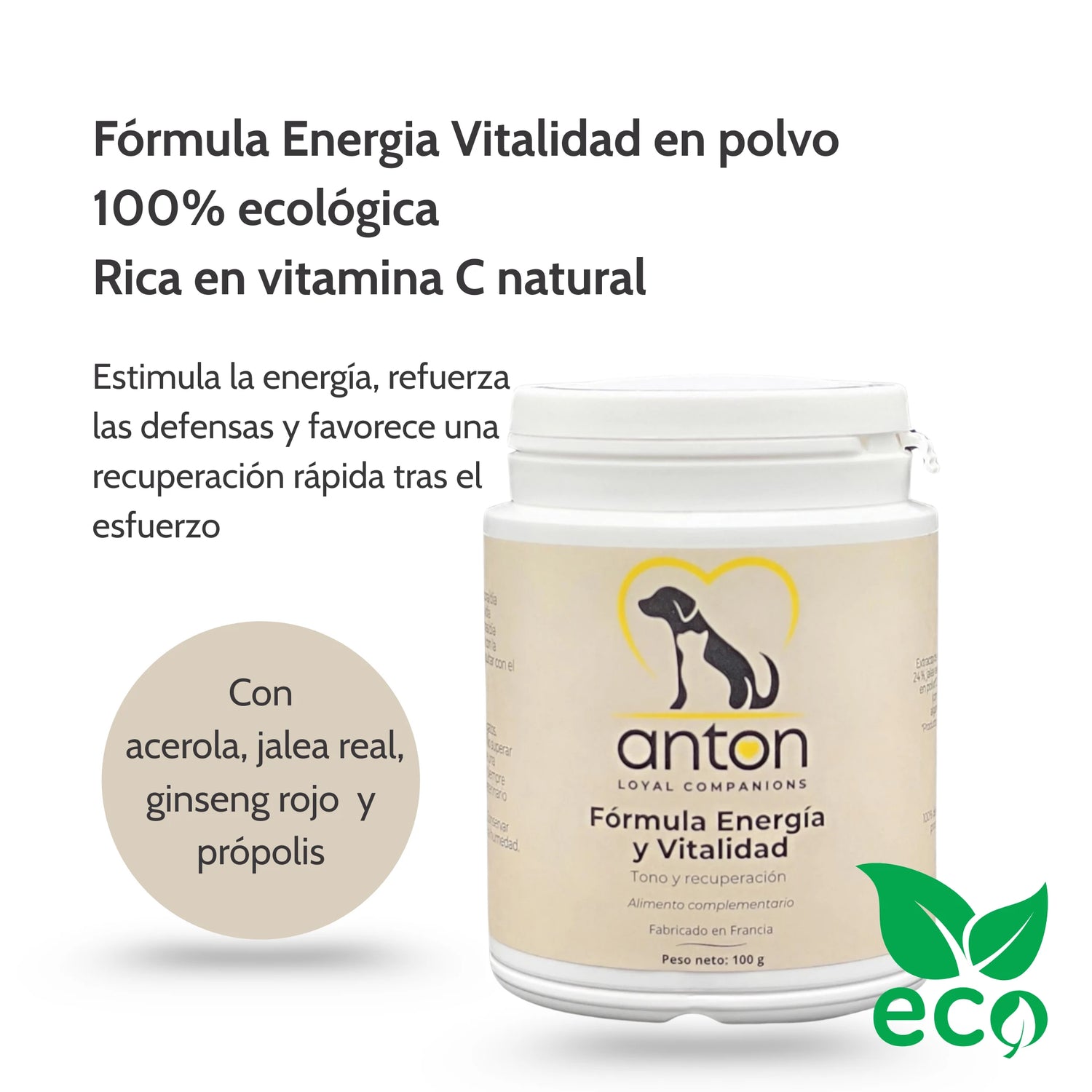 Lote Ritual Vitalidad y Cuidado Diario – Perros y gatos_Anton Loyal Companions