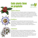 Plantas naturales utilizadas para favorecer la calma y el equilibrio emocional en perros y gatos: espino blanco, pasiflora y valeriana