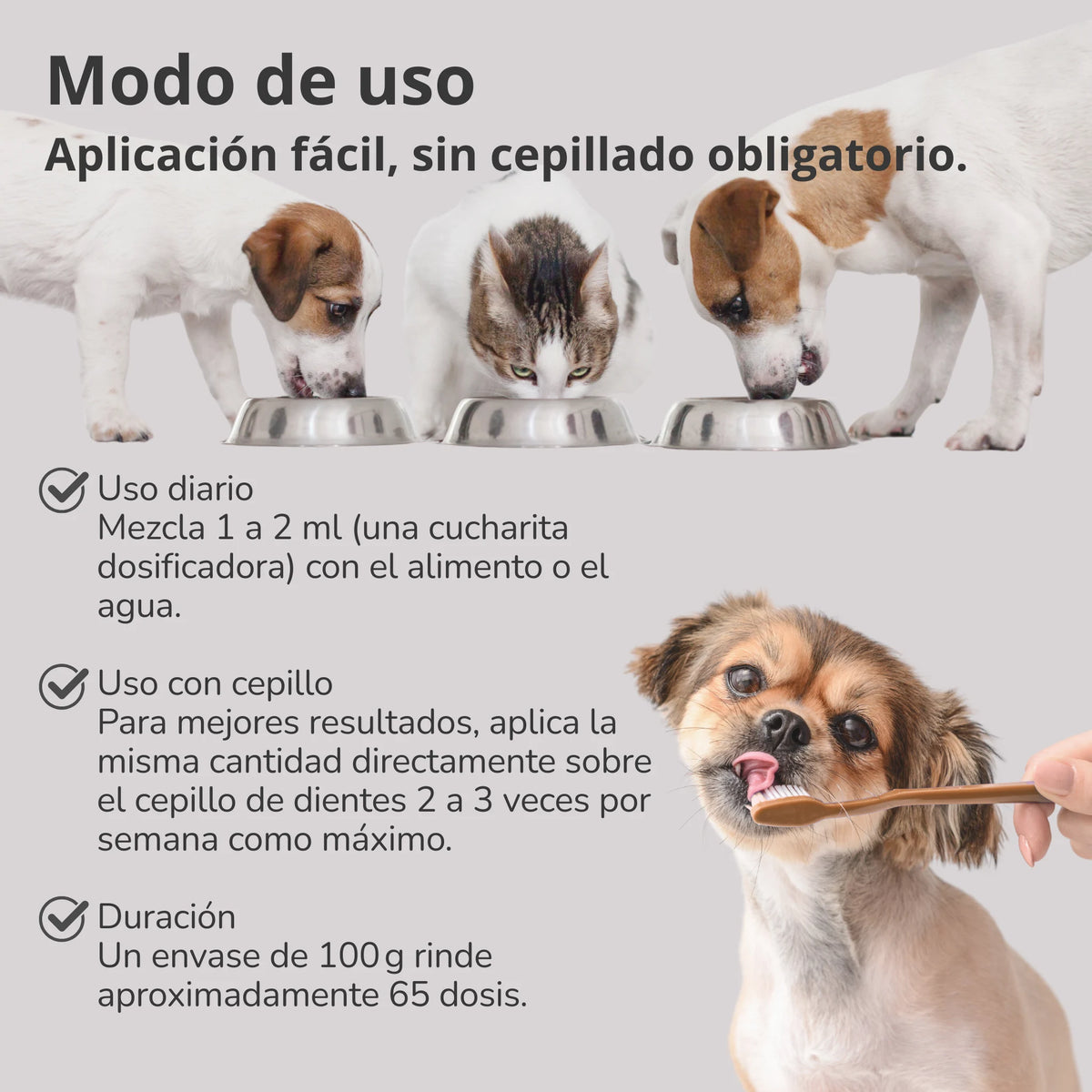 Modo de uso del Polvo Dental natural para perros y gatos de ANTON Loyal Companions, aplicación fácil sin cepillado, con instrucciones de uso diario y con cepillo.