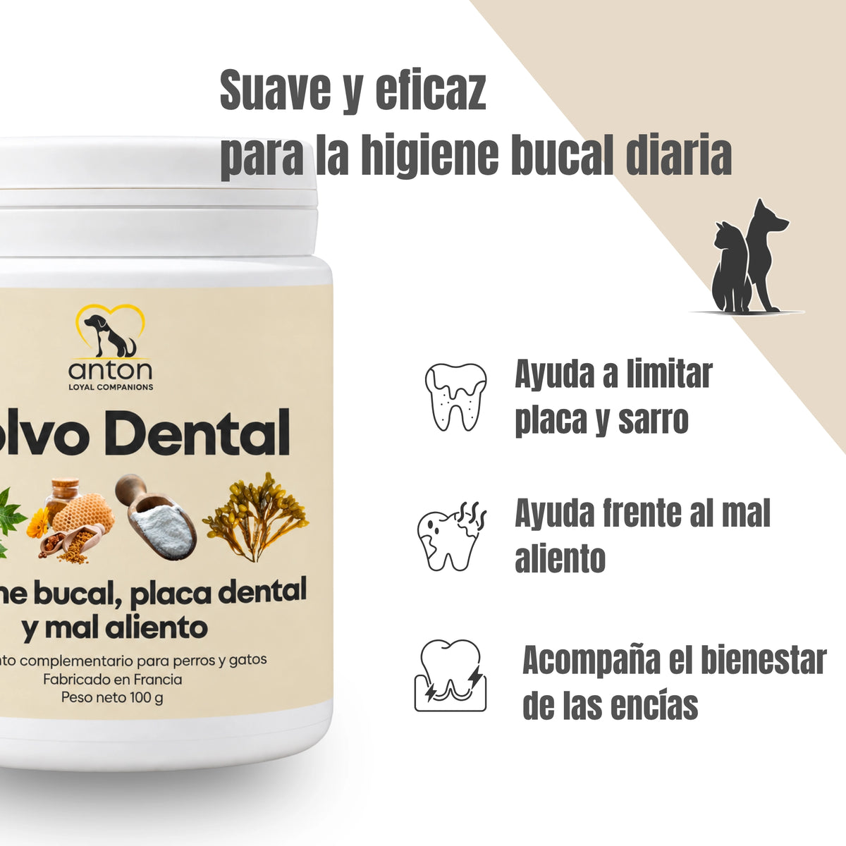 Infografía del Polvo Dental ANTON para perros y gatos, complemento alimentario para la higiene bucal diaria que ayuda a limitar la placa y el sarro, combatir el mal aliento y favorecer el bienestar de las encías.