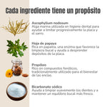 Infografía de los ingredientes del Polvo Dental ANTON para perros y gatos: alga Ascophyllum nodosum, hoja de papaya, propóleo y bicarbonato sódico, con sus funciones en la higiene bucal.