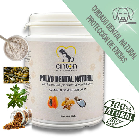 Envase del polvo dental natural ANTON con ingredientes naturales - cuidado dental sin químicos, protección de encías y aliento fresco para perros y gatos