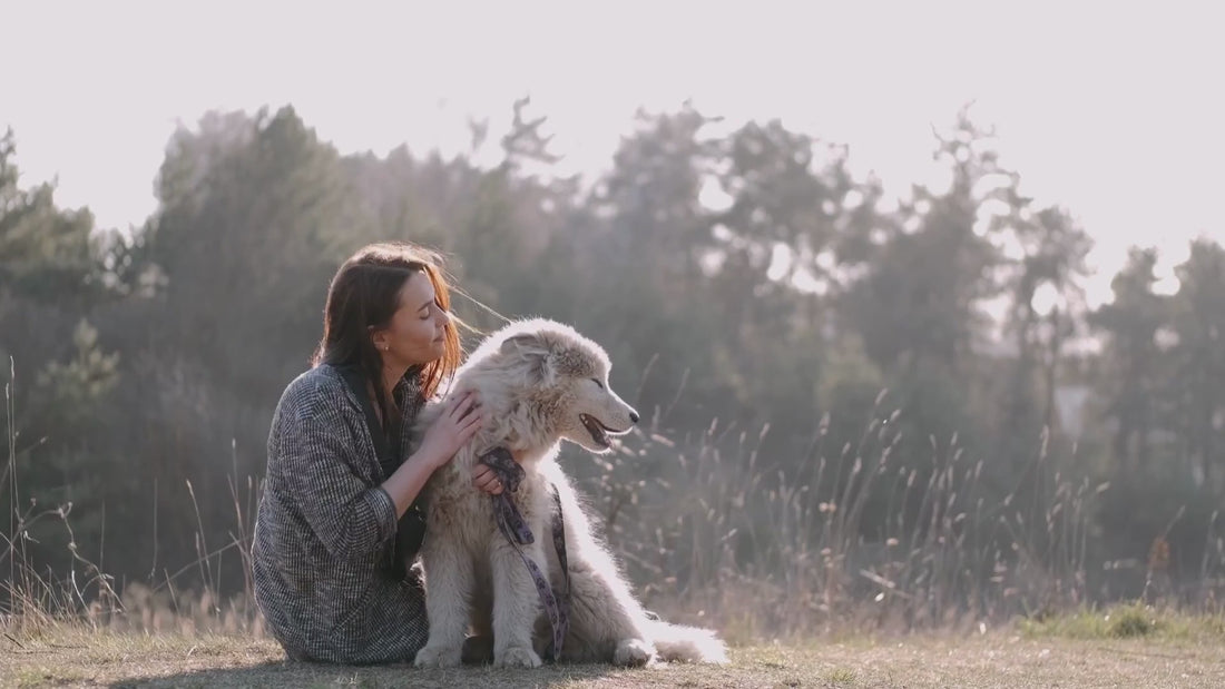 Mujer acariciando a su perro en el campo y hombre en casa con su gato, reflejando bienestar natural