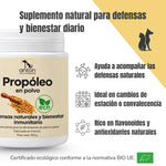 Infografía del Propóleo ECO ANTON para perros y gatos, con certificación ecológica europea. Presenta sus beneficios para las defensas naturales, el bienestar diario y su aporte de flavonoides y antioxidantes.