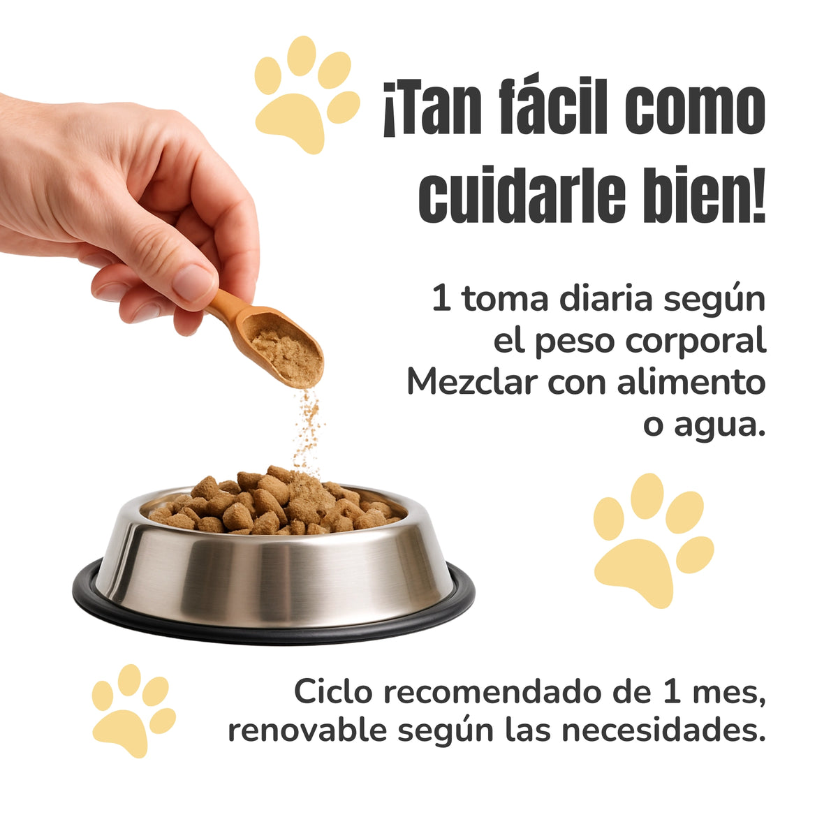 Infografía del modo de empleo del Propóleo ECO ANTON para perros y gatos. Una mano añade el complemento en polvo al pienso. Una toma diaria según el peso corporal, mezclada con alimento o agua, durante un mes renovable.