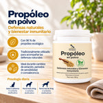Propóleo en polvo para perros y gatos Anton Loyal Companions, con 96 % de propóleo ecológico para acompañar las defensas naturales.