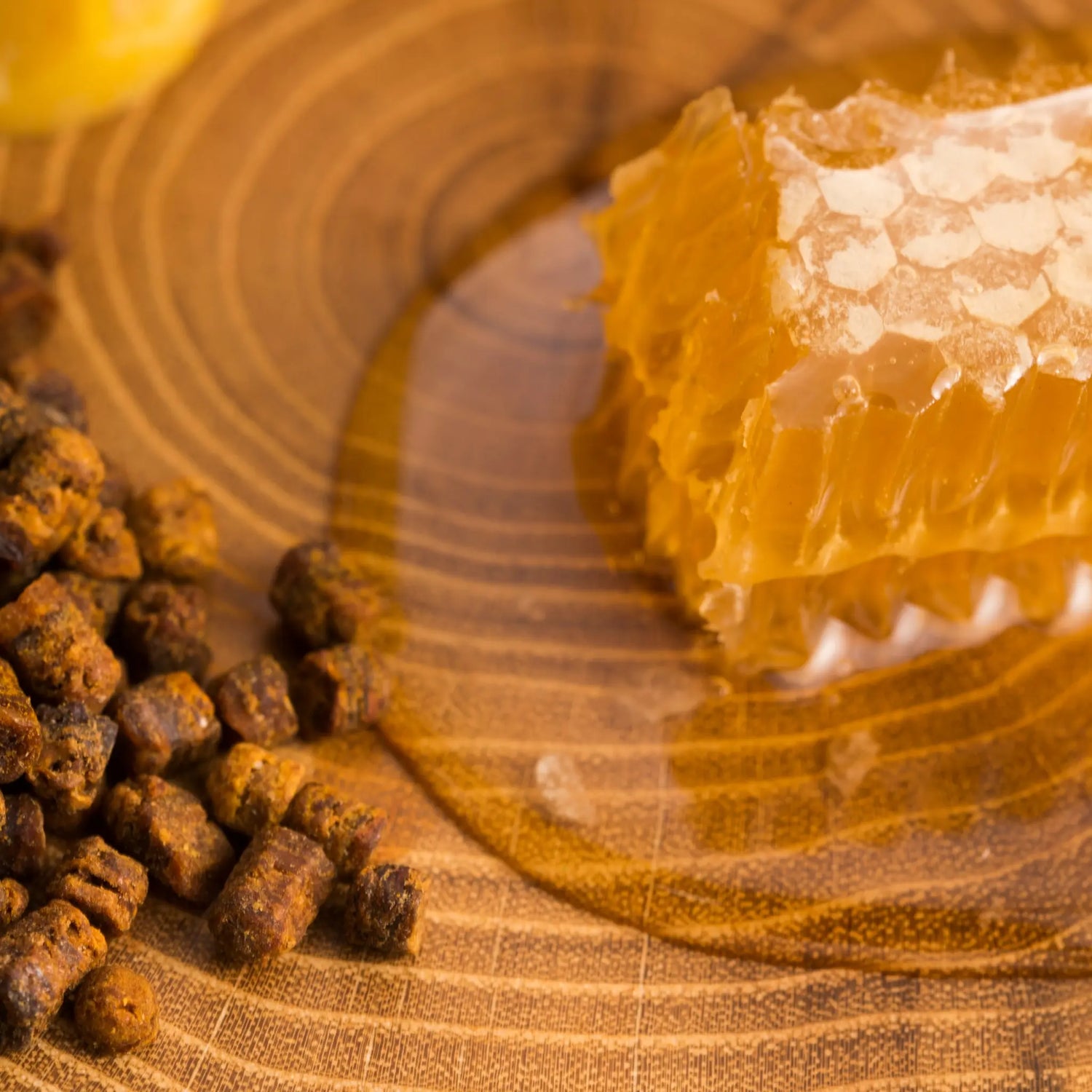 Propóleo natural en bruto con panal de miel, ingrediente natural utilizado como apoyo de las defensas en perros y gatos