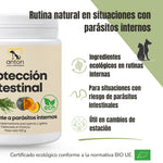 Protección Intestinal de ANTON Loyal Companions para perros y gatos, con ingredientes ecológicos para acompañar las rutinas frente a parásitos internos y apoyar el equilibrio intestinal.