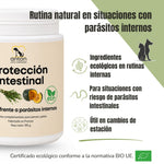 Rutina natural con Protección Intestinal ANTON para perros y gatos en situaciones con riesgo de parásitos internos.