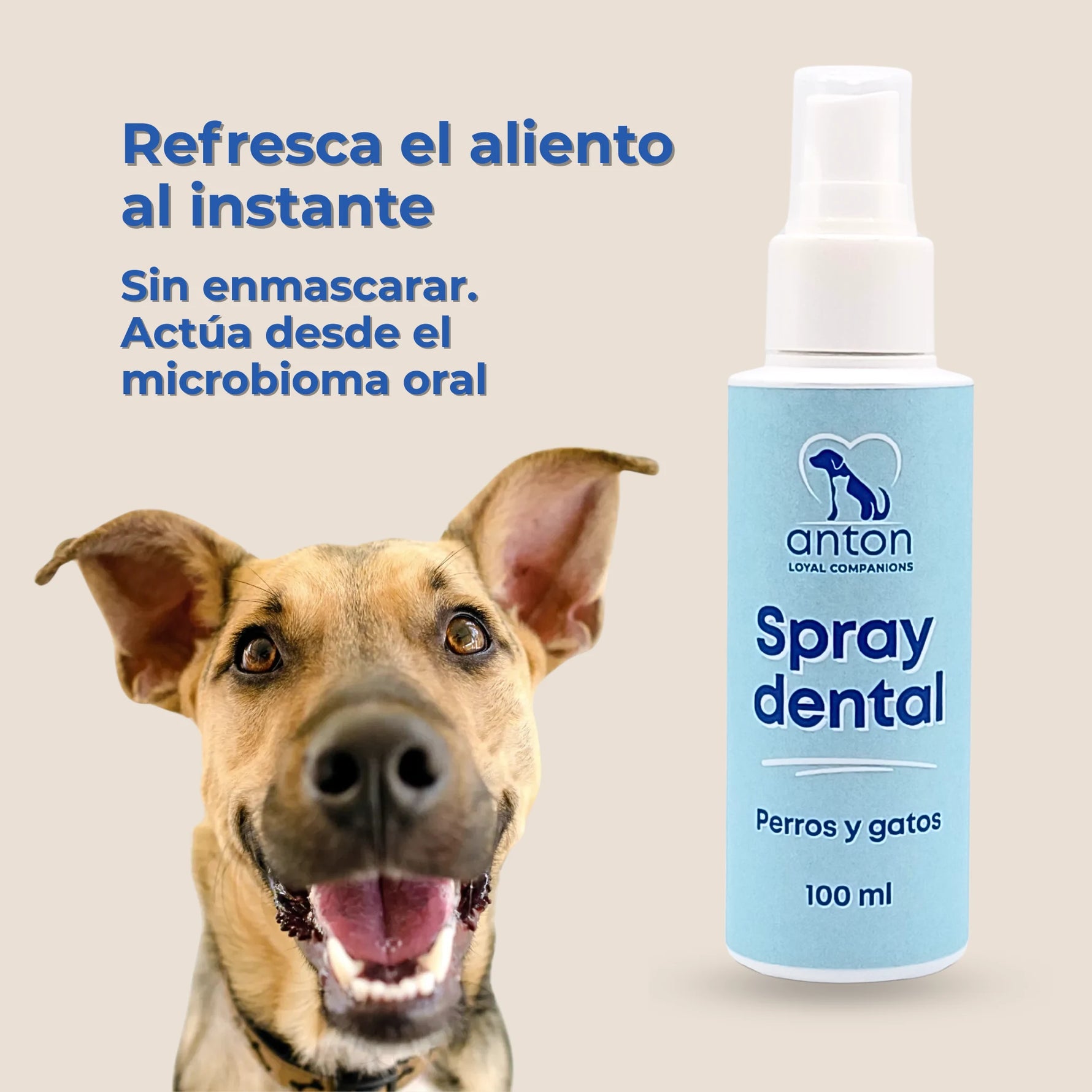 Perro con expresión feliz junto al Spray dental natural para perros y gatos de ANTON Loyal Companions, que refresca el aliento al instante actuando desde el microbioma oral.