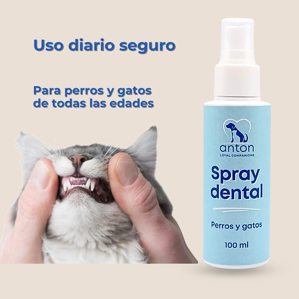 Gato mostrando los dientes mientras se aplica el Spray dental natural para perros y gatos de ANTON Loyal Companions, apto para uso diario y para animales de todas las edades.