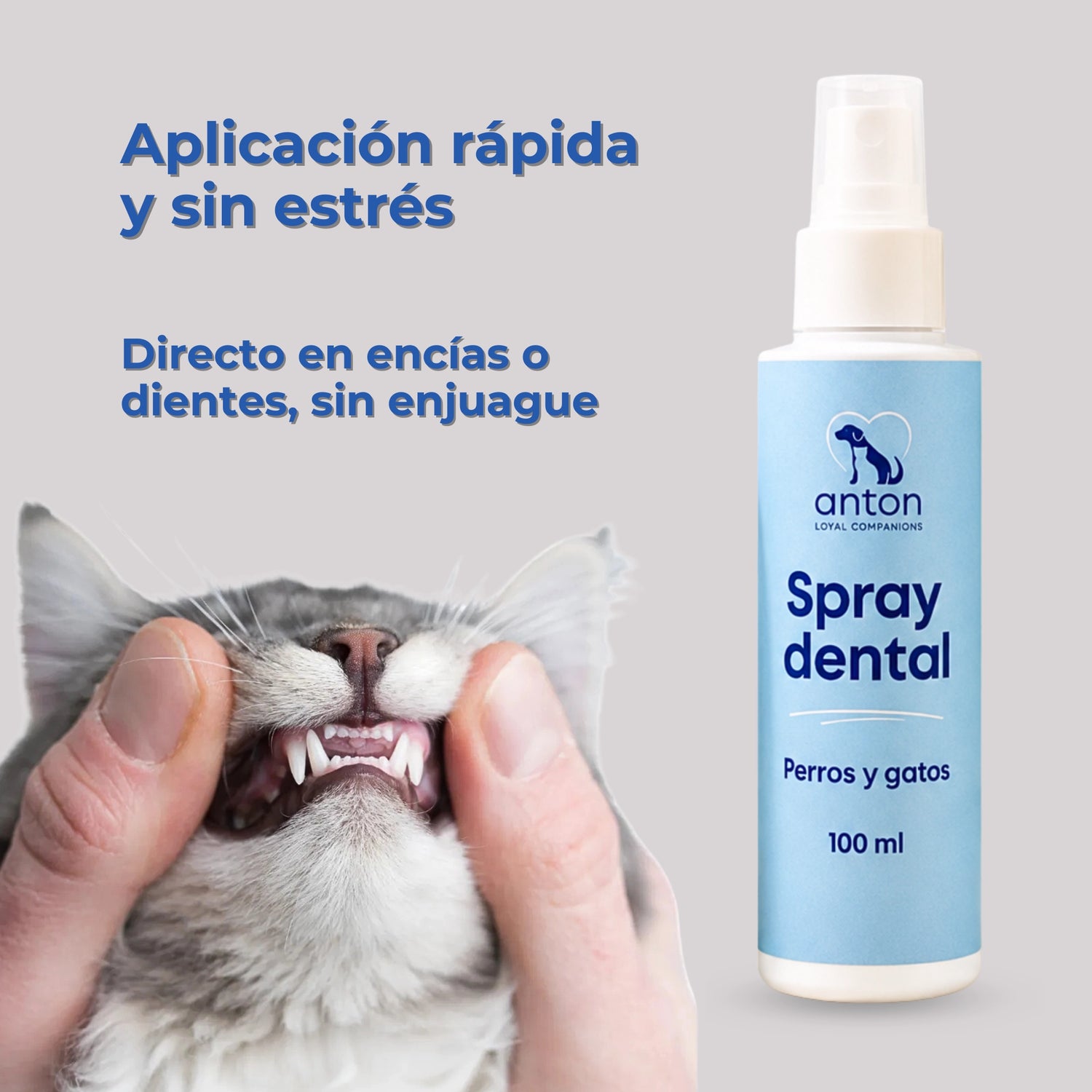 Aplicación del spray dental natural para perros y gatos directamente sobre dientes y encías, sin enjuague, para una higiene bucal rápida y sencilla.
