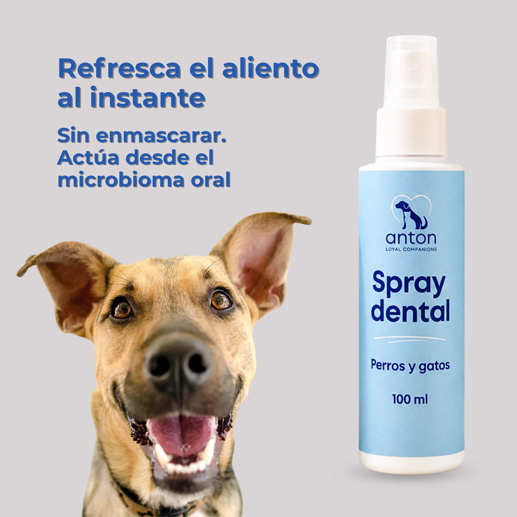 Spray dental natural para perros y gatos que ayuda a refrescar el aliento, reducir la placa y mantener el equilibrio del microbioma oral.