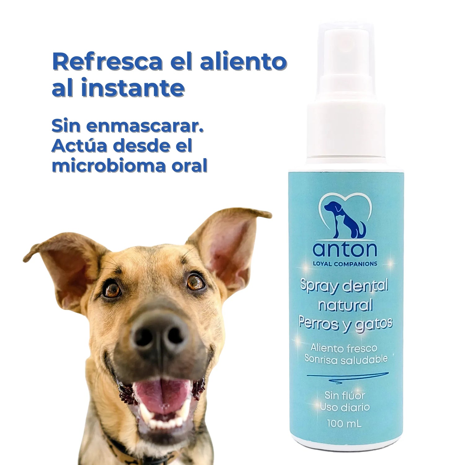 Spray Dental Natural para Perros y Gatos - 100 ml_Anton Loyal Companions