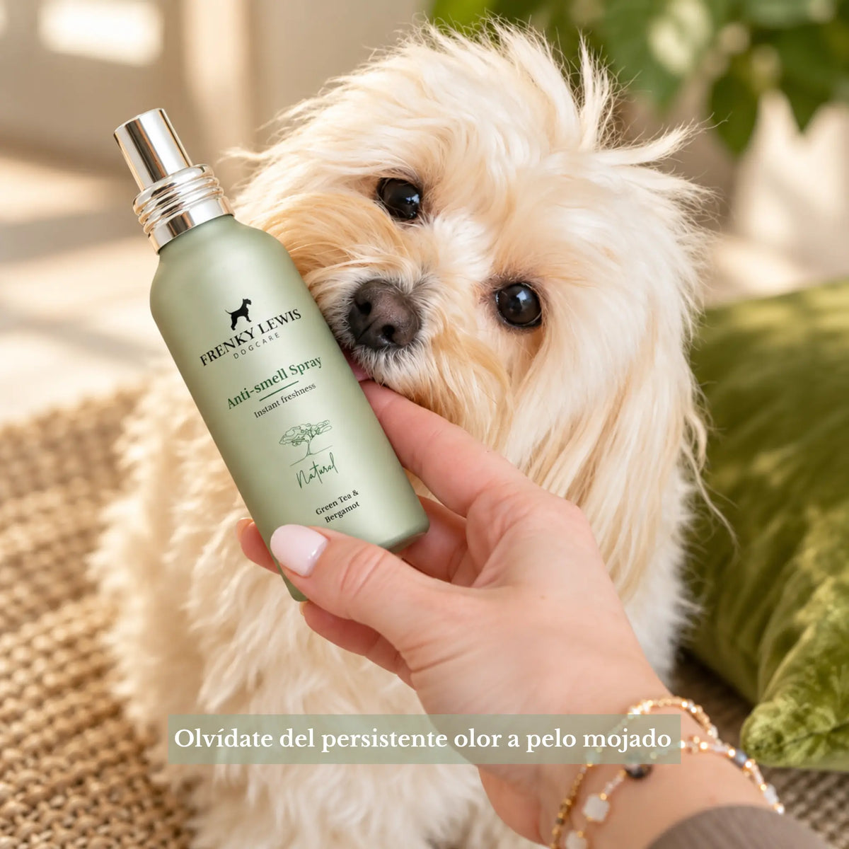 Perro de pelo blanco junto al spray neutralizador de olores Frenky Lewis Green Tea & Bergamot de 100 ml, presentado en un frasco verde sostenido con la mano.