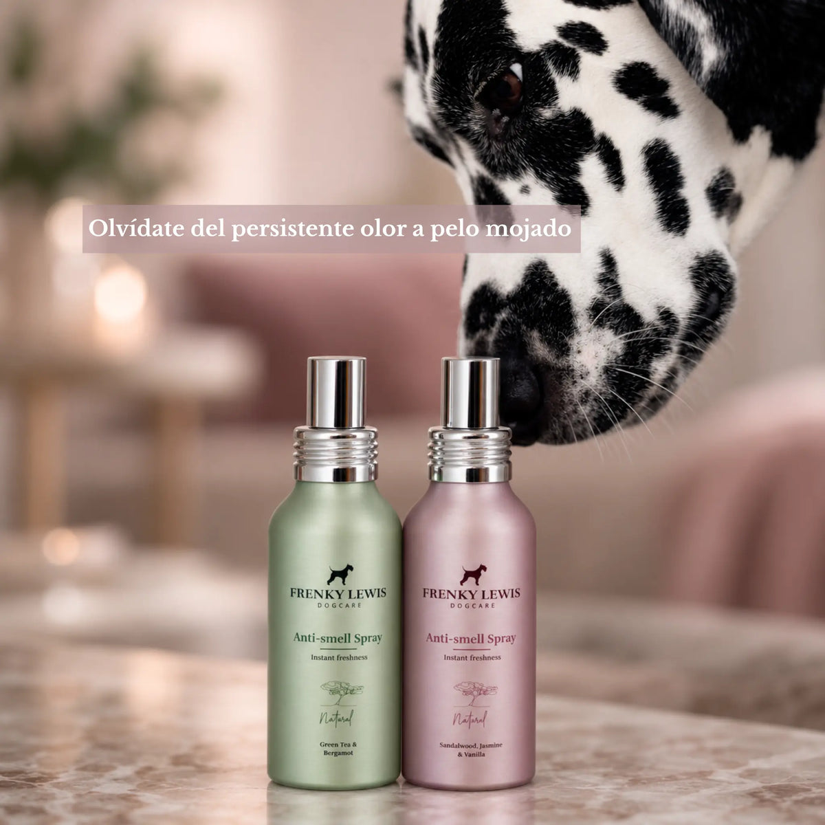 Dálmata junto a dos sprays neutralizadores de olores Frenky Lewis de 100 ml, en las variedades Sandalwood, Jasmine & Vanilla y Green Tea & Bergamot.