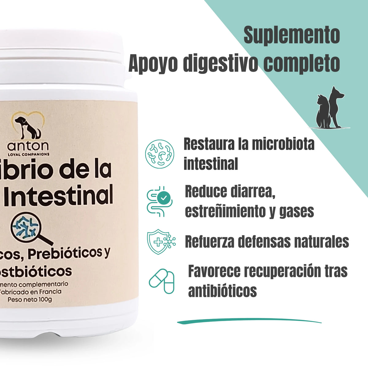 Suplemento natural para la digestión y la microbiota intestinal de perros y gatos con probióticos prebióticos y postbióticos ANTON