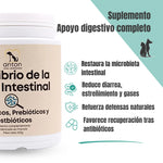 Suplemento natural para la digestión y la microbiota intestinal de perros y gatos con probióticos prebióticos y postbióticos ANTON