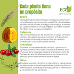 Ingredientes activos del suplemento ANTON Loyal Companions Confort Urinario – Brezo, calabaza, arándano y olivo.