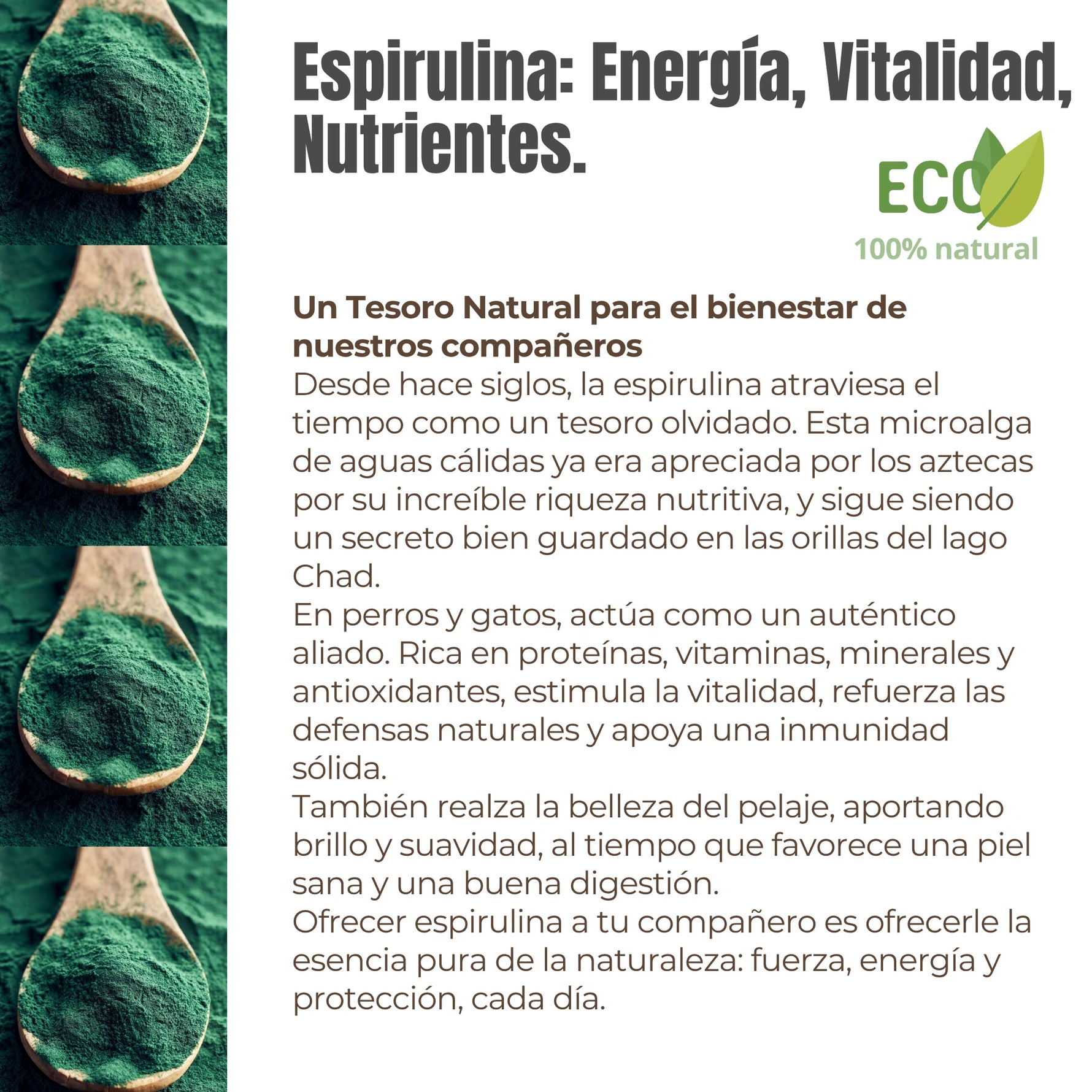 Ingredientes naturales de Espirulina ECO ANTON Loyal Companions – espirulina ecológica y zanahoria, fuente de proteínas, vitaminas y antioxidantes.