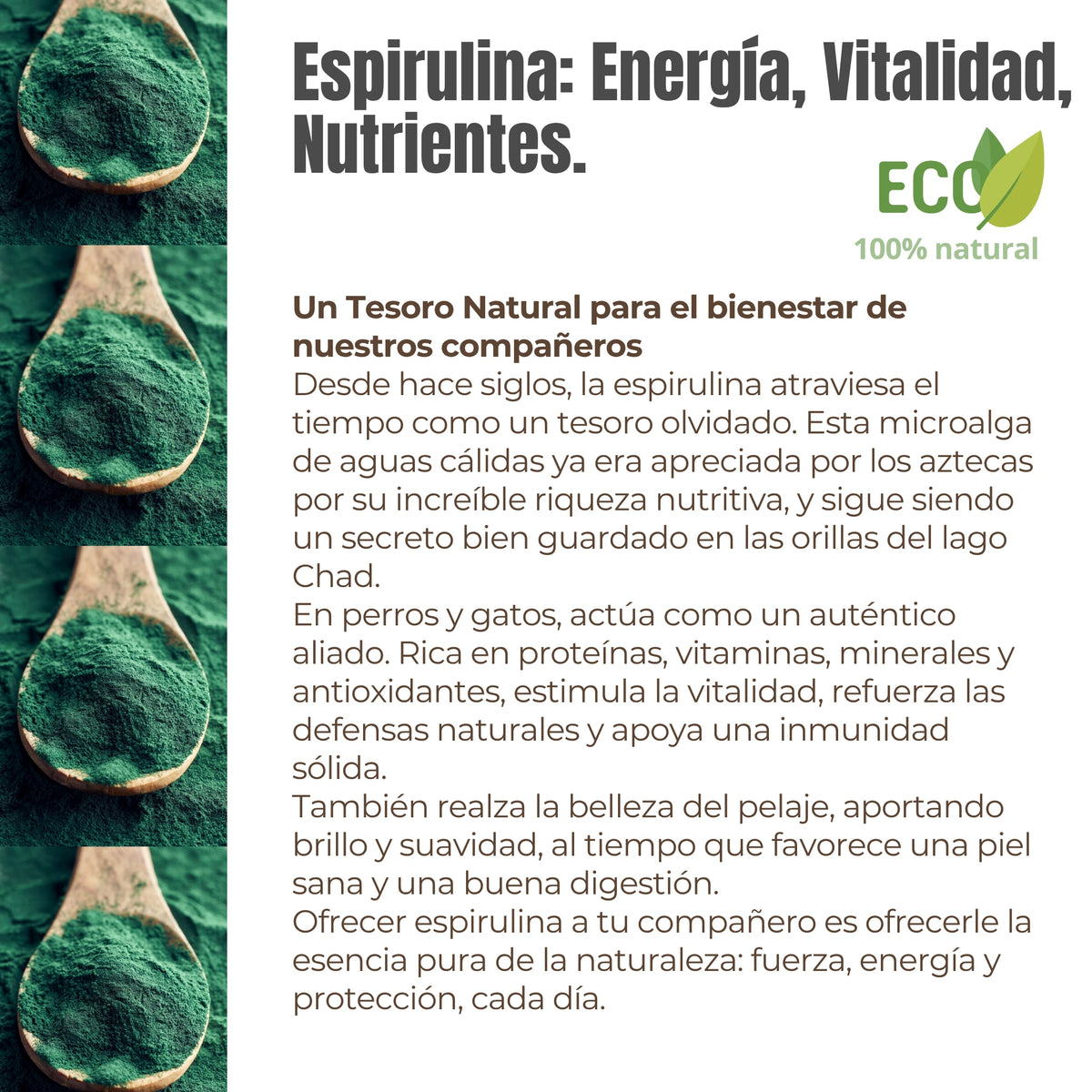 Ingredientes naturales de Espirulina ECO – espirulina ecológica y zanahoria, fuente de proteínas, vitaminas y antioxidantes.