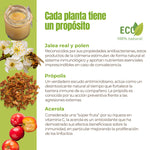Ingredientes activos del suplemento ANTON Fórmula Real ECO – jalea real, polen, propóleo y acerola, con propiedades antioxidantes e inmunitarias.